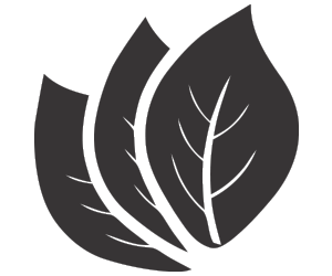 Large-Icon-2-5edea7a9c4a00