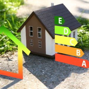 eco friendly house